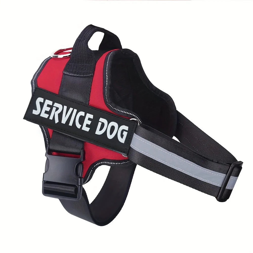 Personalised No Pull Dog Harness