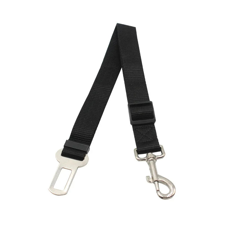 Seat Belt Safety Leash