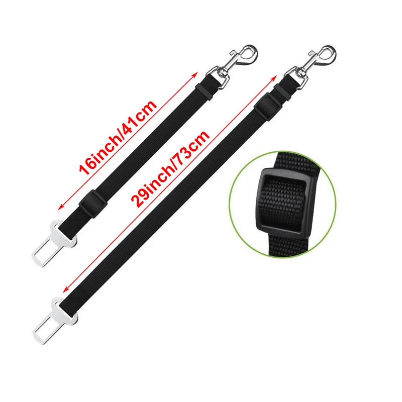 Seat Belt Safety Leash