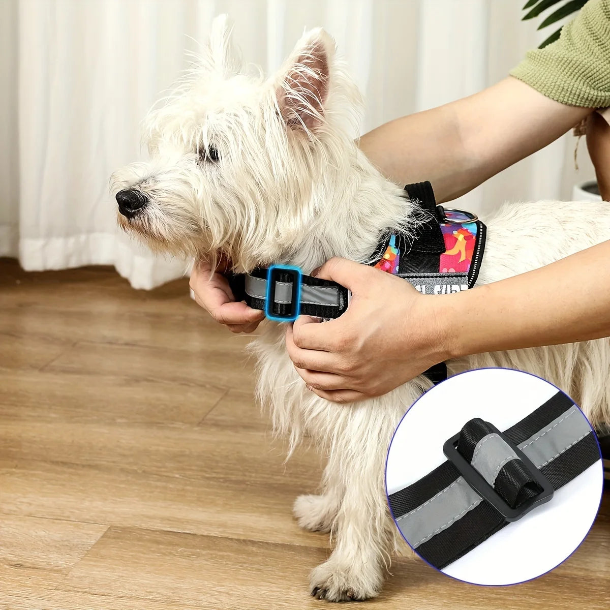 Personalised No Pull Dog Harness