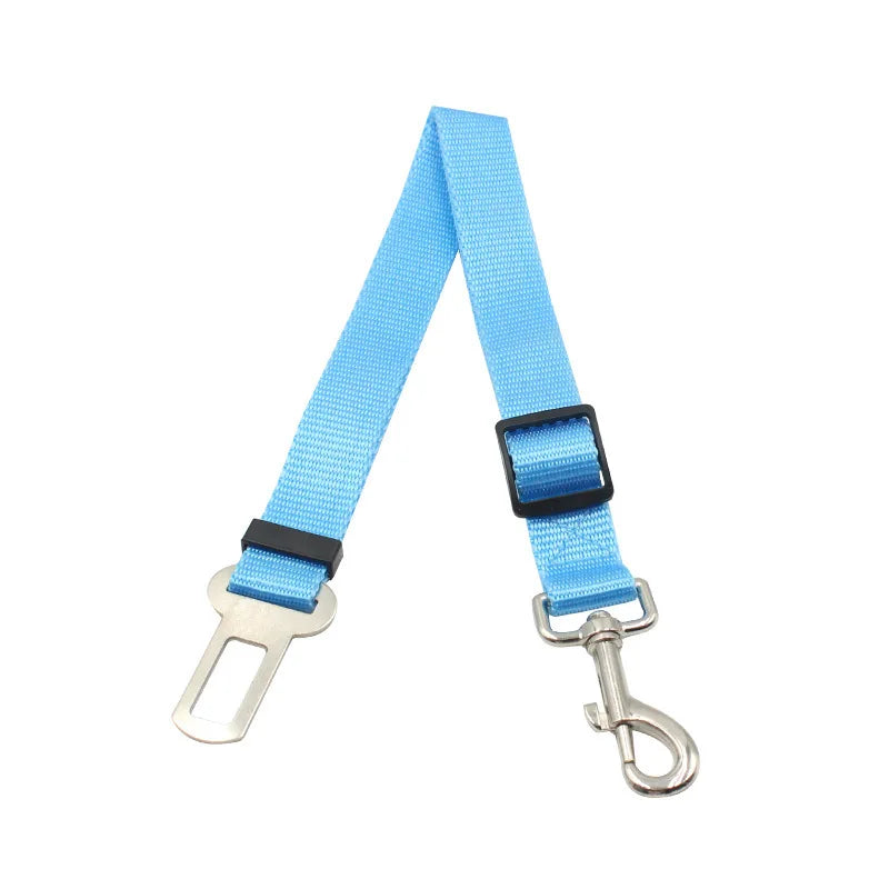 Seat Belt Safety Leash