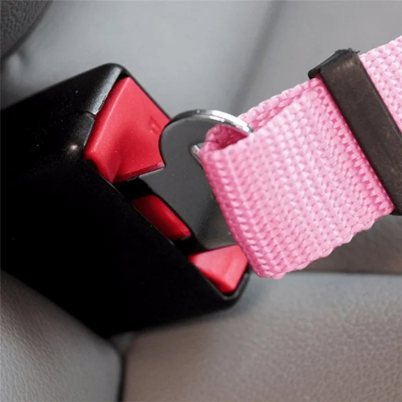 Seat Belt Safety Leash