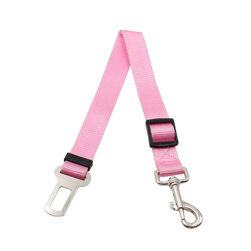 Seat Belt Safety Leash