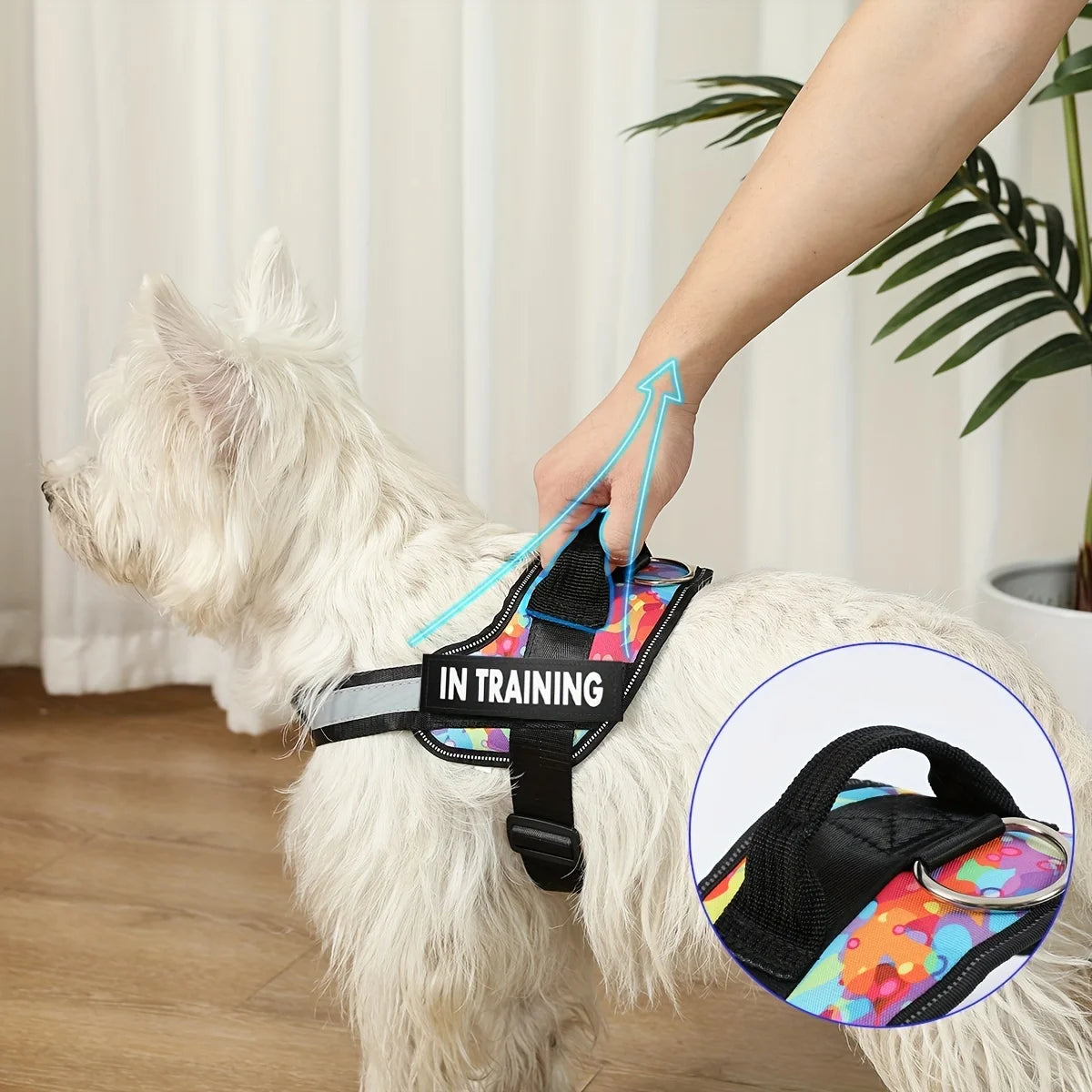 Personalised No Pull Dog Harness