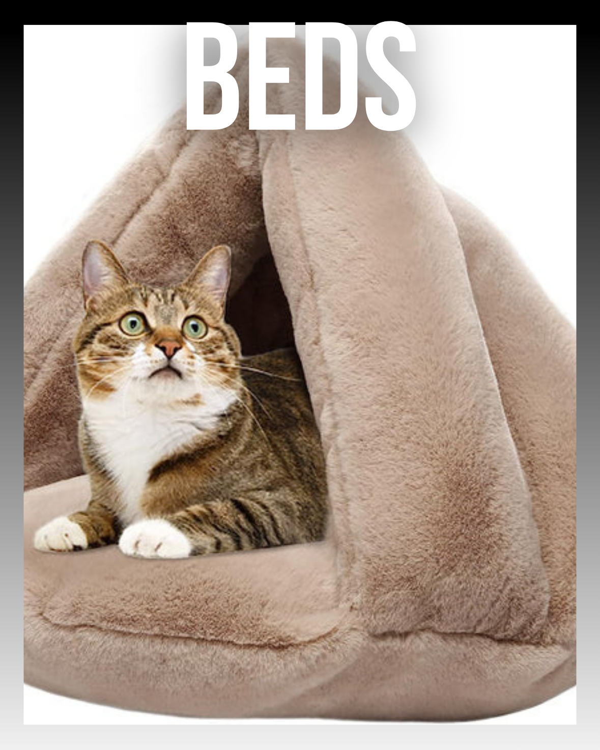 BEDS