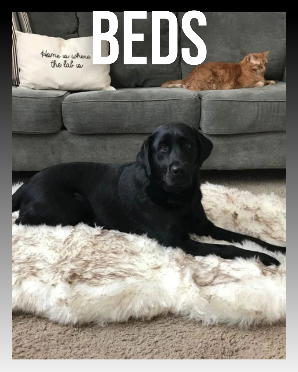 BEDS