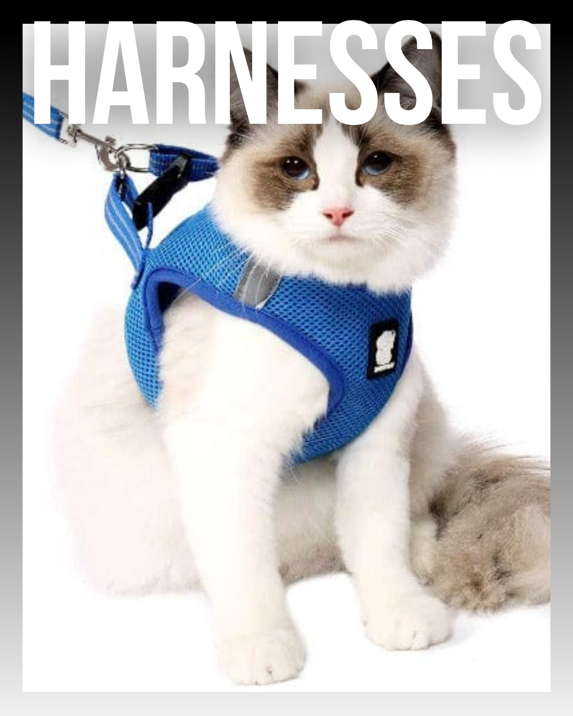 HARNESSES