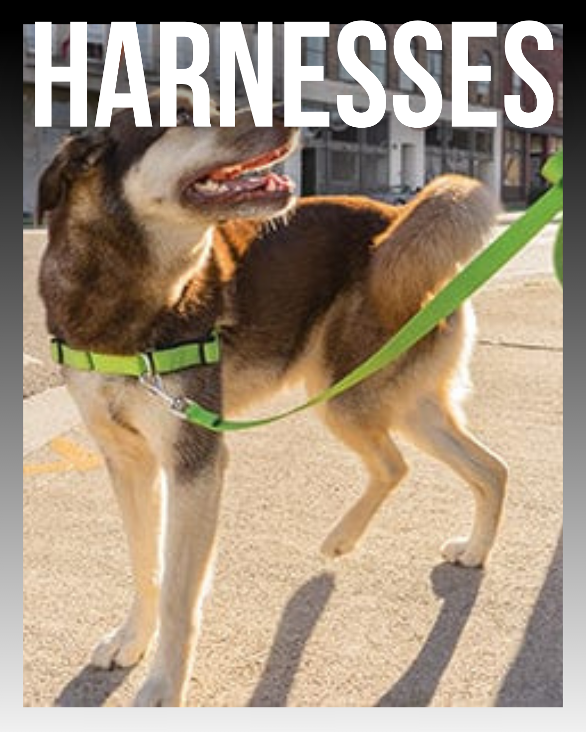 HARNESSER