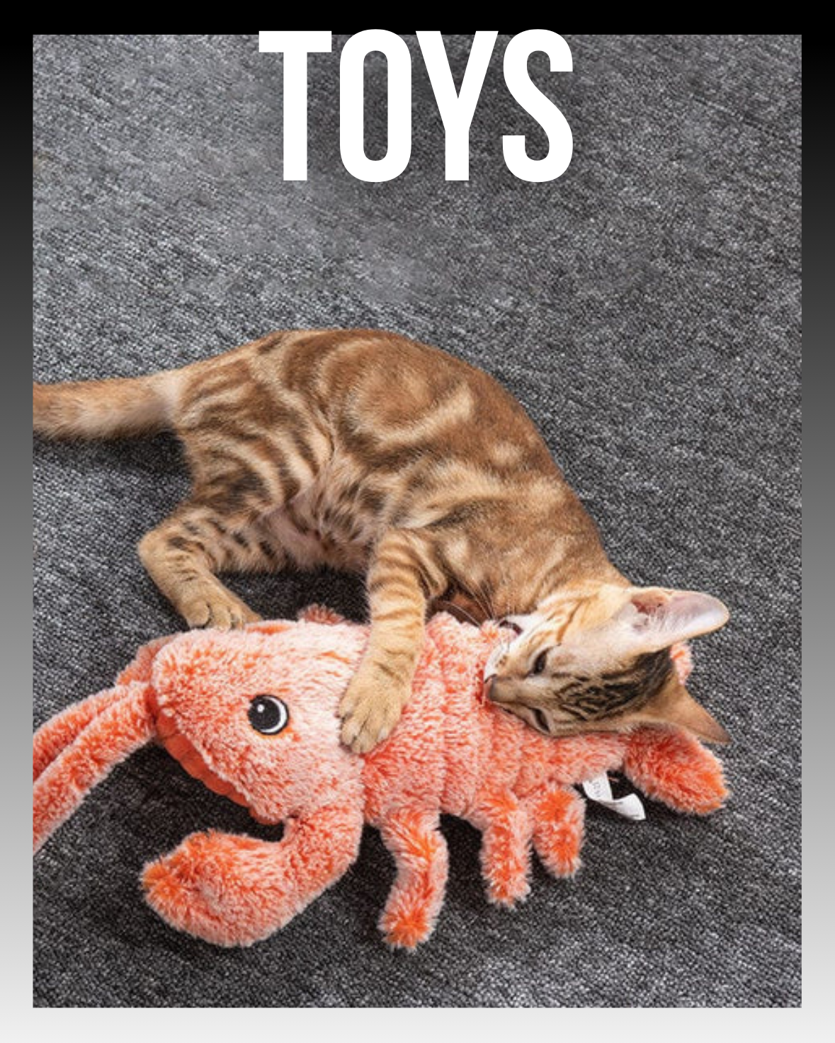 TOYS