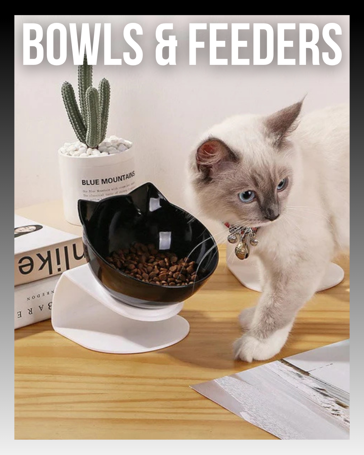 BOWLS & FEEDERS
