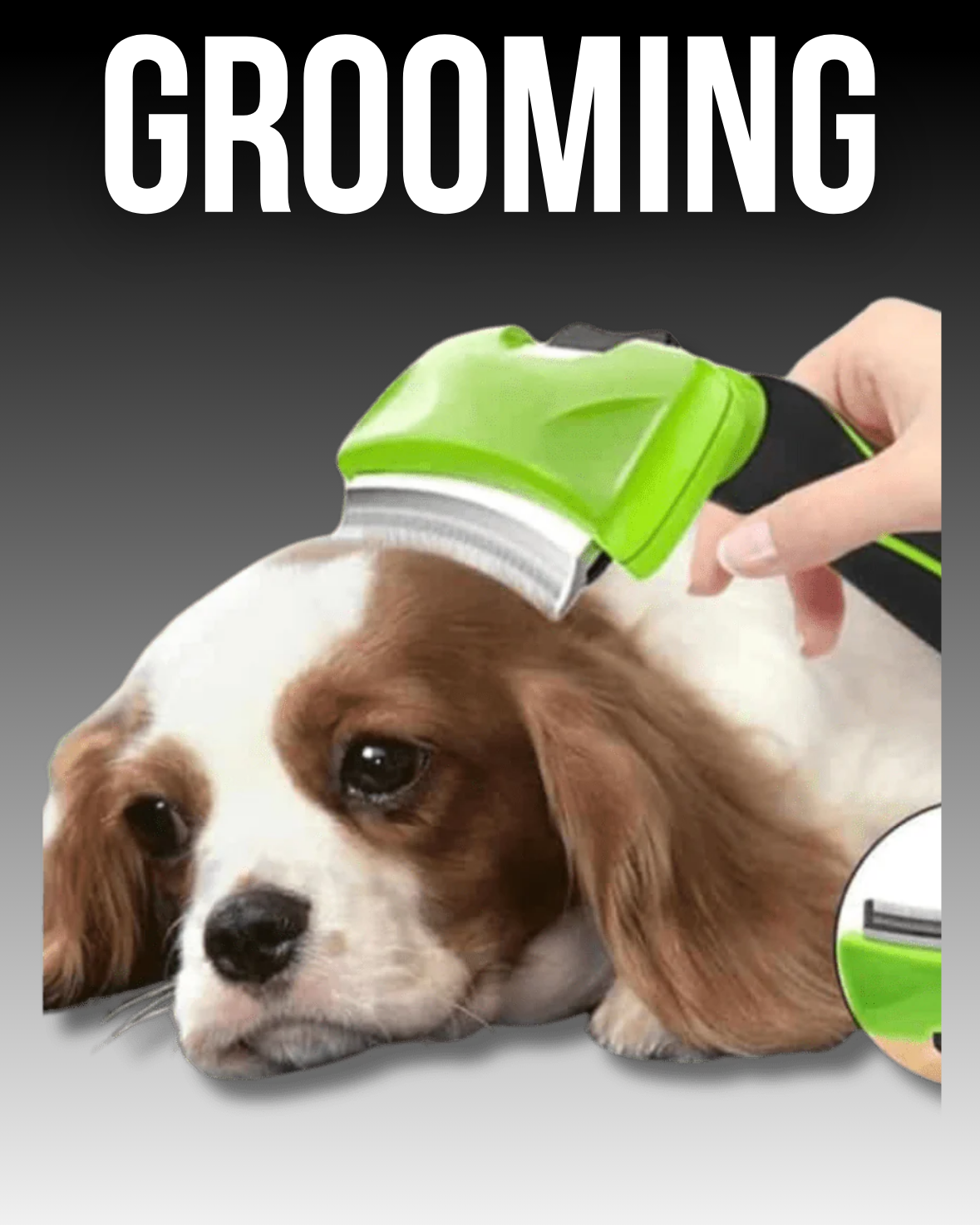 GROOMING