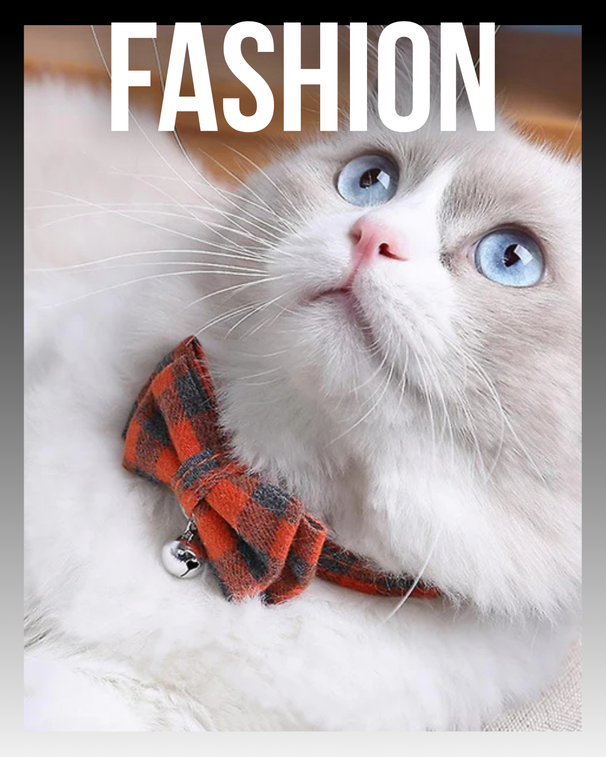 FASHION