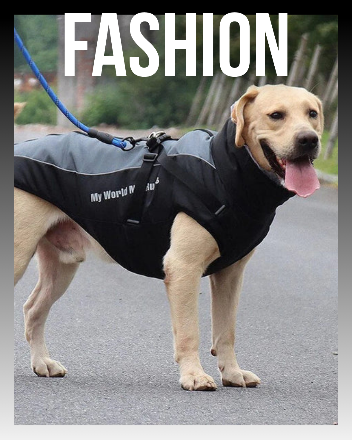 FASHION