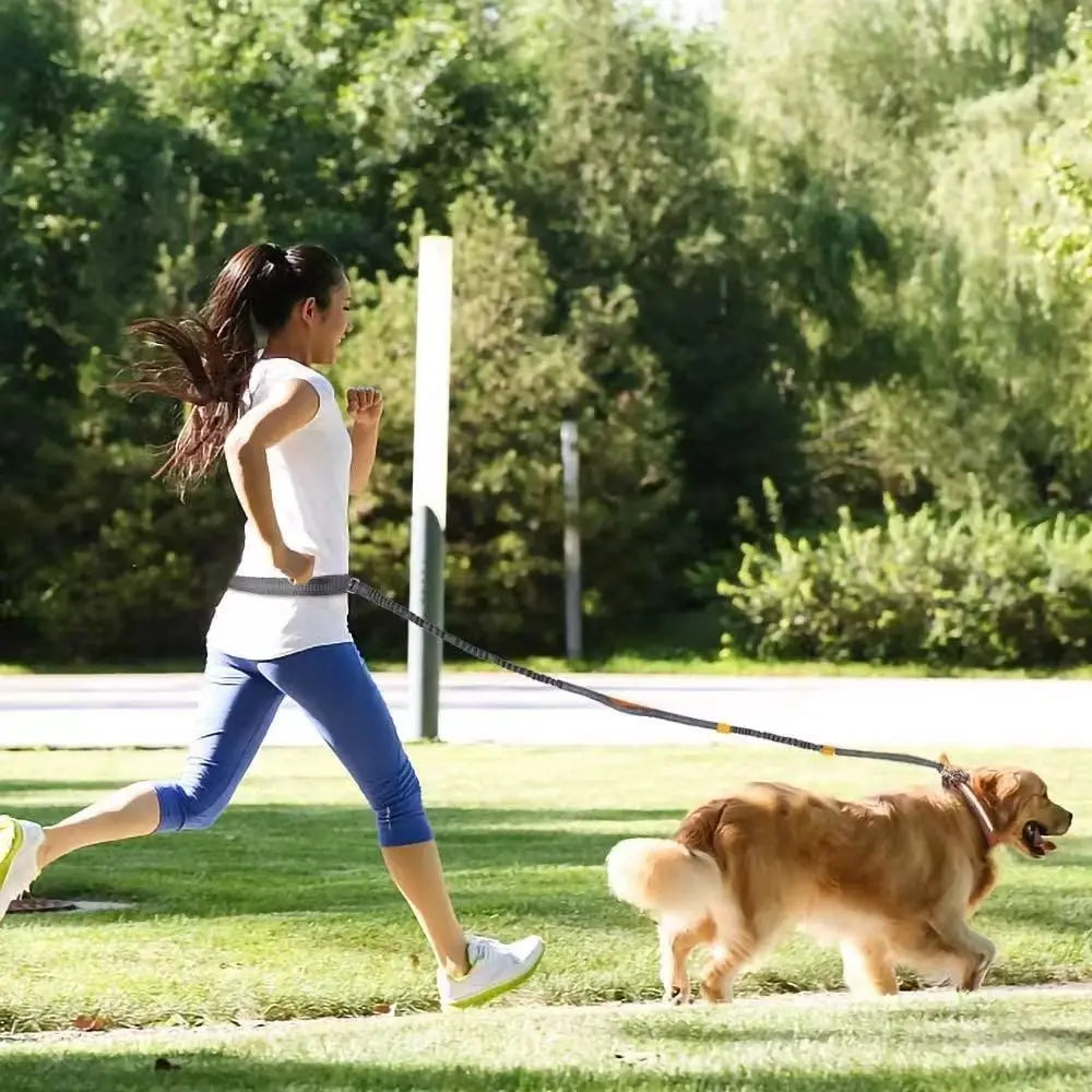 Pet Running Traction Leash