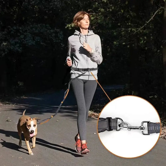 Pet Running Traction Leash