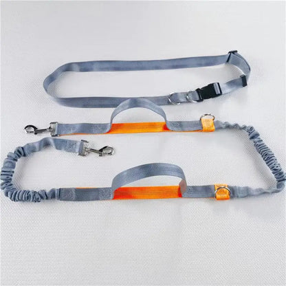 Pet Running Traction Leash