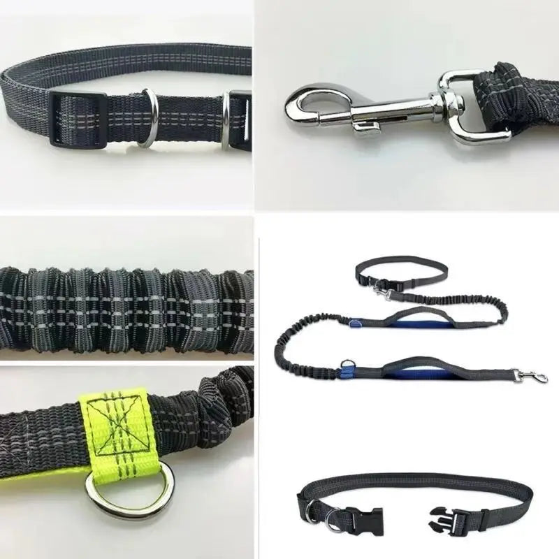 Pet Running Traction Leash