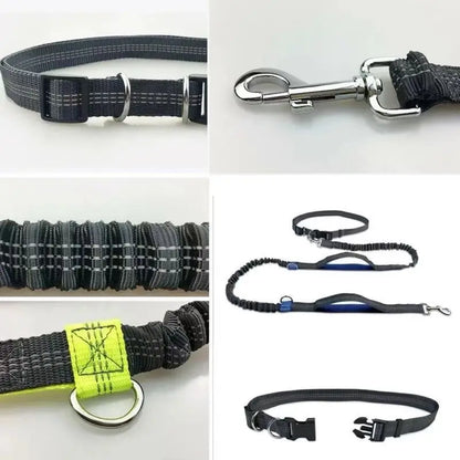 Pet Running Traction Leash