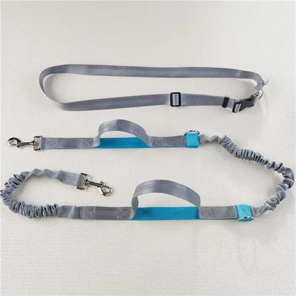 Pet Running Traction Leash