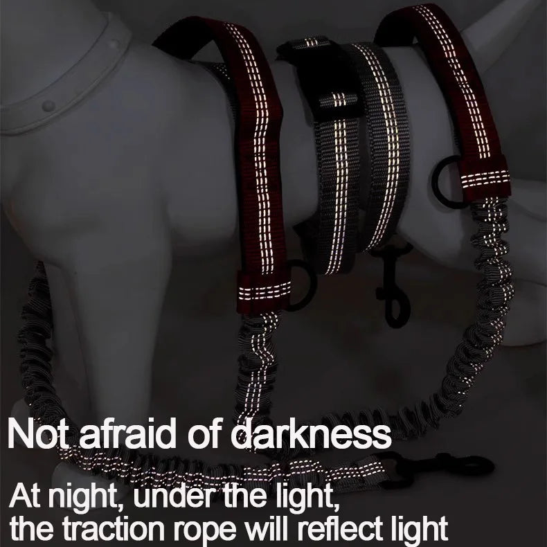 Pet Running Traction Leash