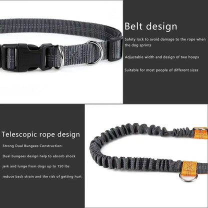 Pet Running Traction Leash