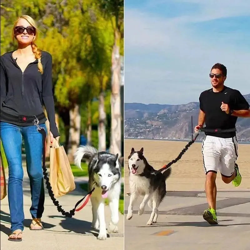 Pet Running Traction Leash