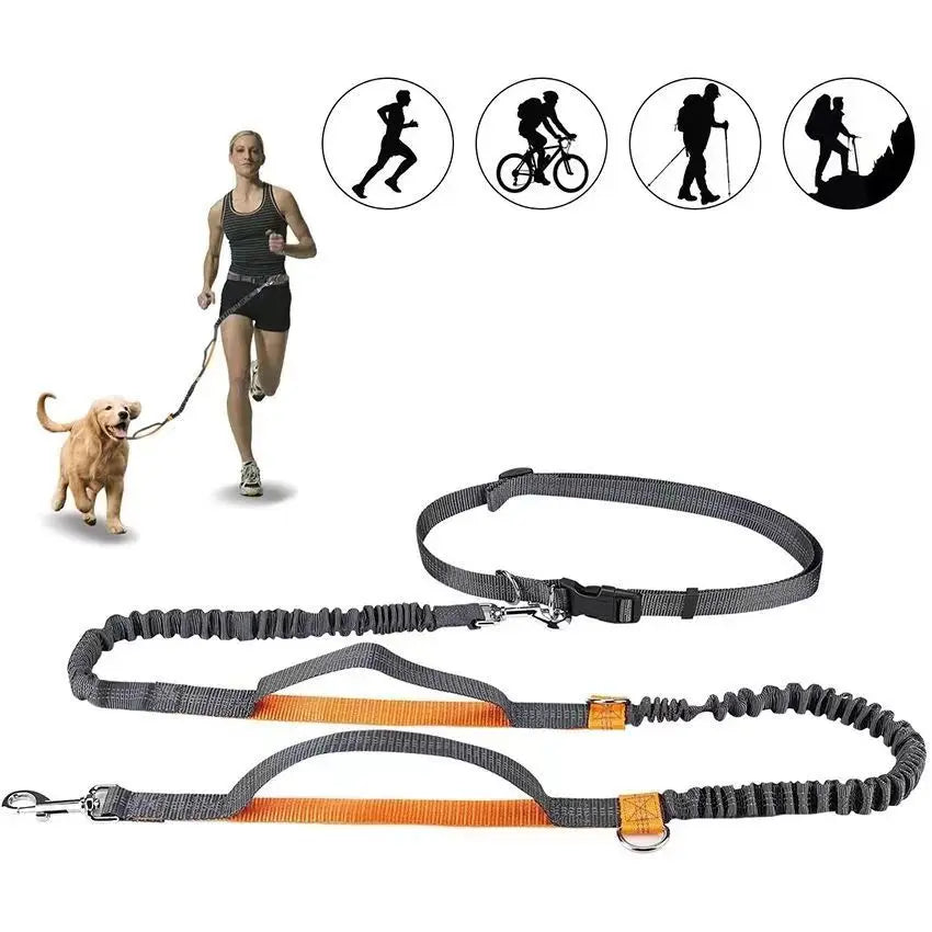 Pet Running Traction Leash