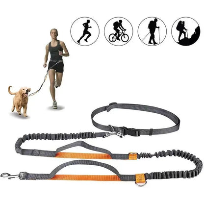 Pet Running Traction Leash