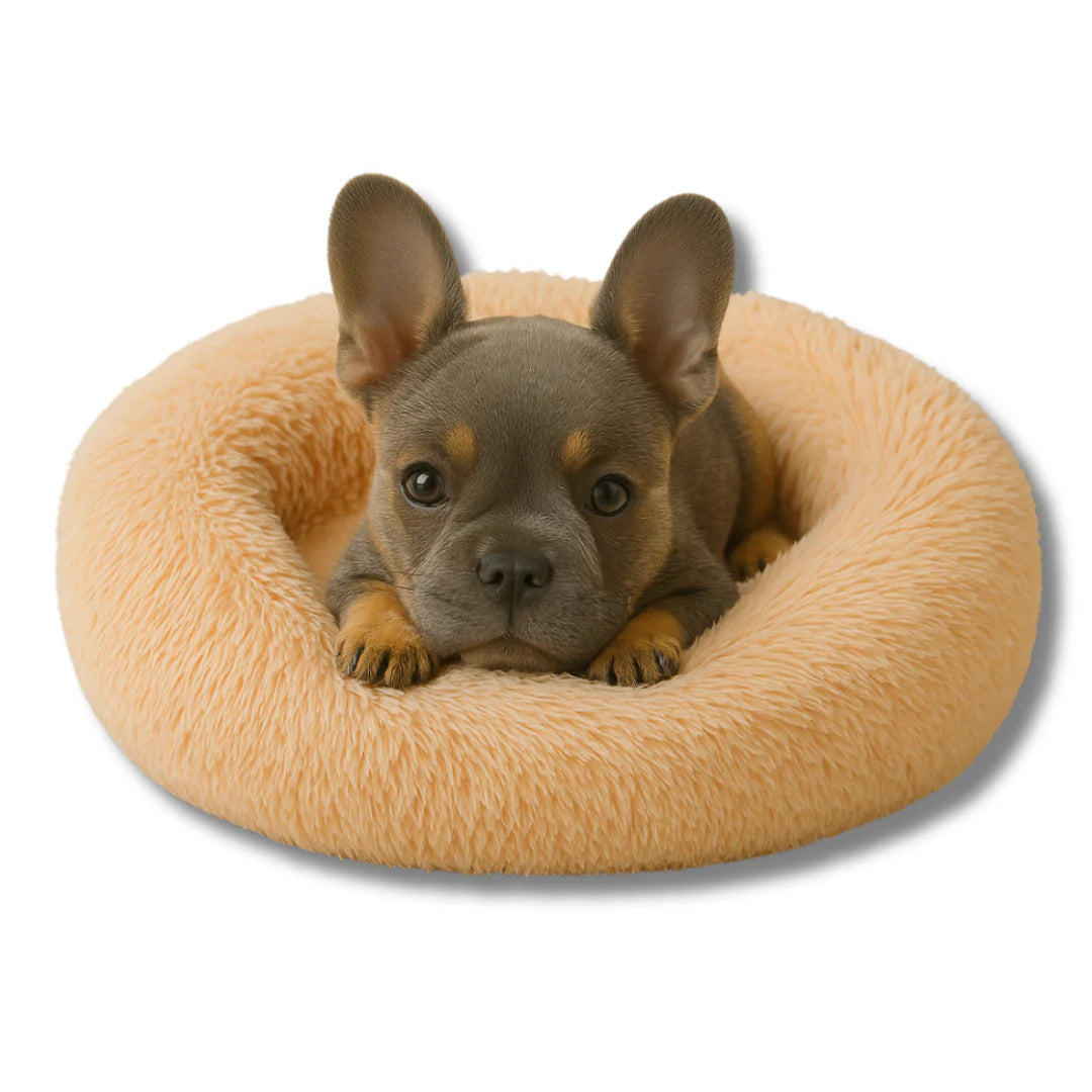 Calming Dog Bed with Removable Cover