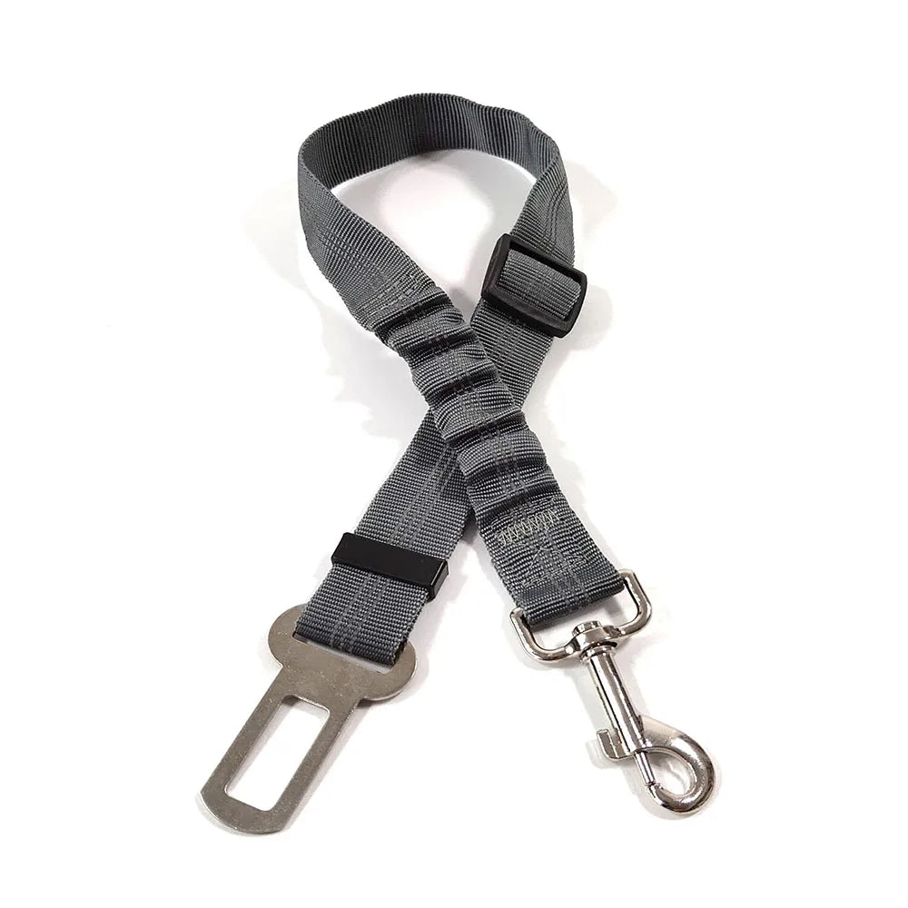 Click Clack Car Leash