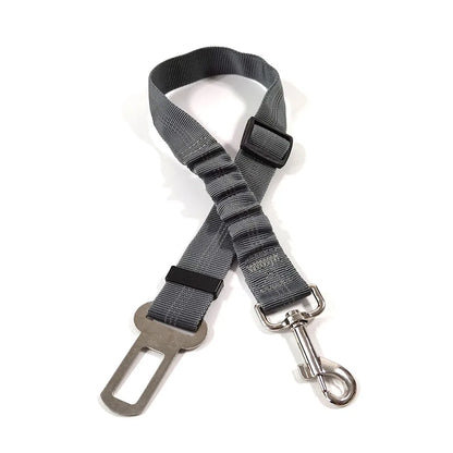 Click Clack Car Leash