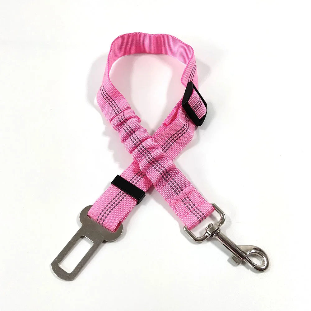 Click Clack Car Leash