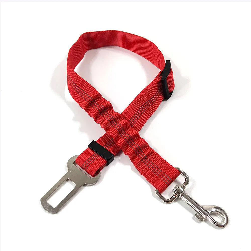 Click Clack Car Leash