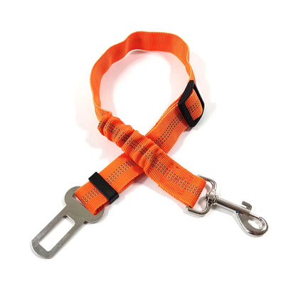 Click Clack Car Leash