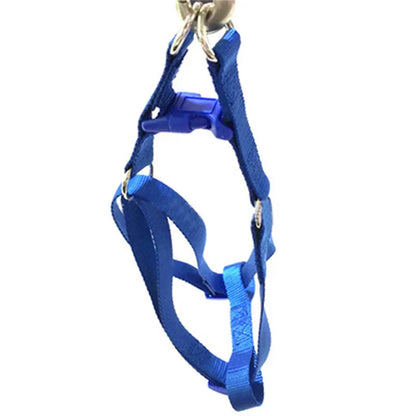 Ez On Nylon Harness
