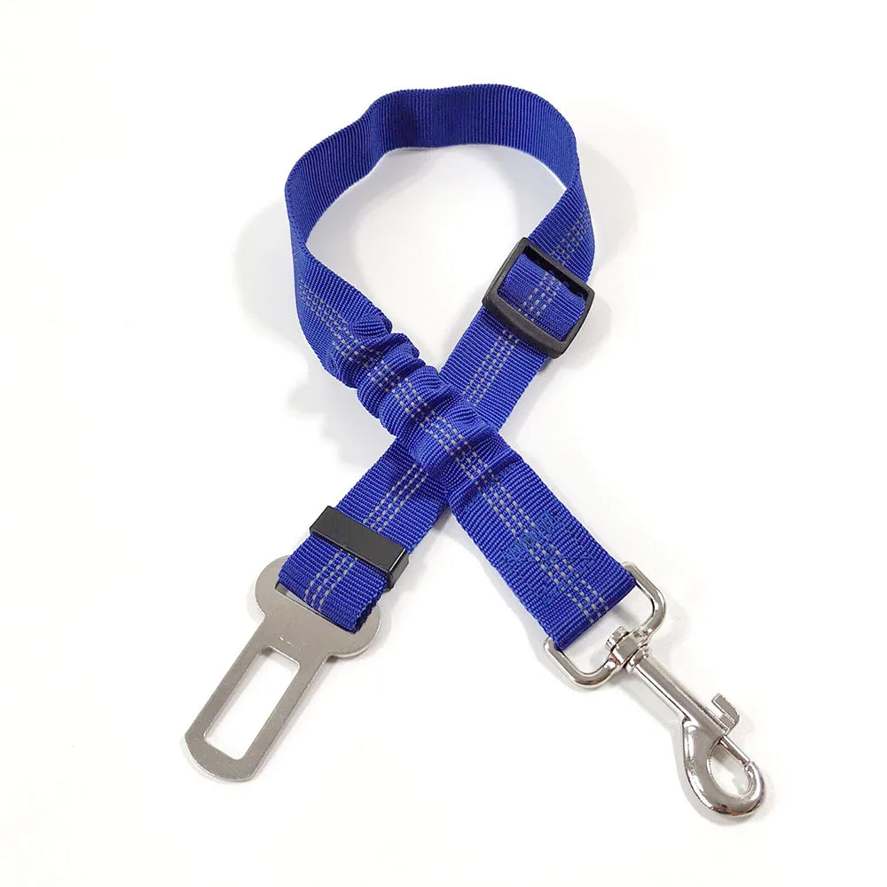 Click Clack Car Leash