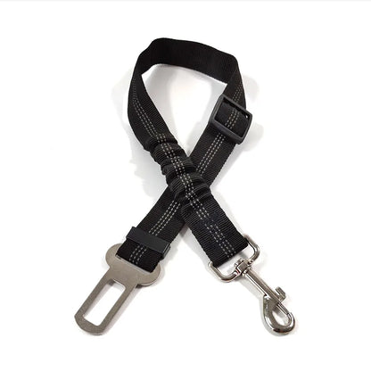 Click Clack Car Leash