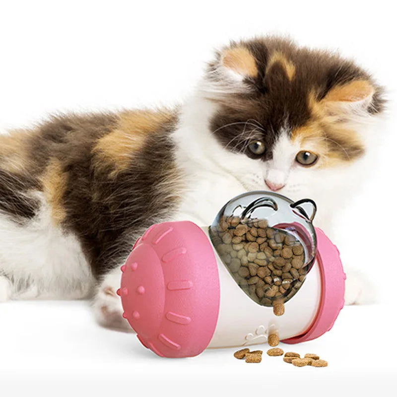 Treat Dispensing Balance Toy