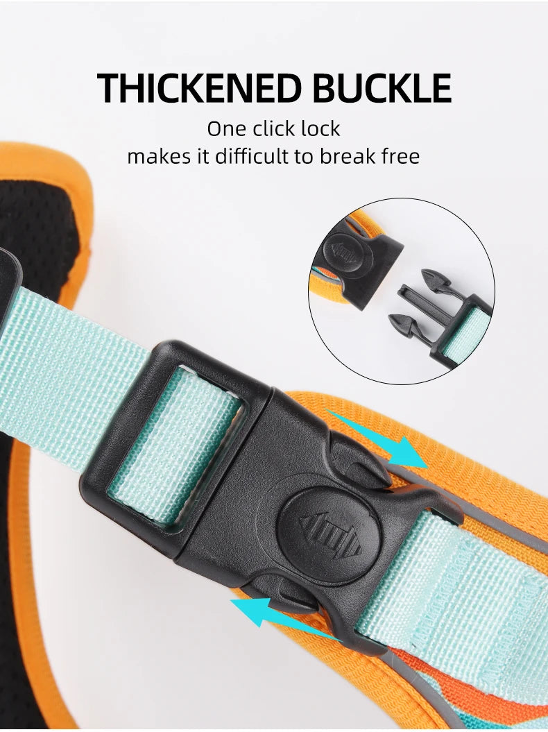K9 Harness