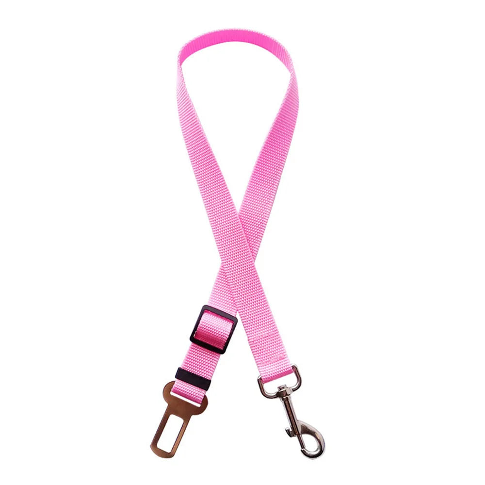 Click Clack Car Leash