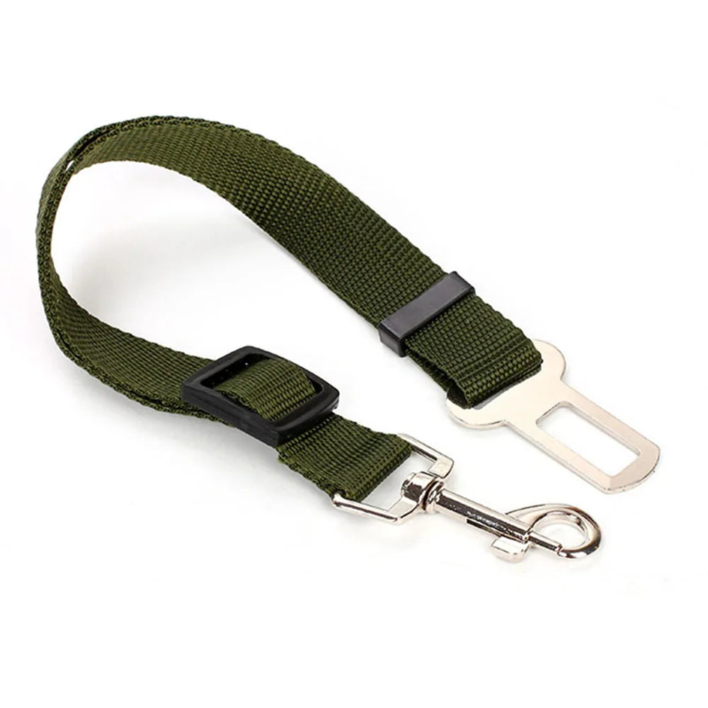 Click Clack Car Leash