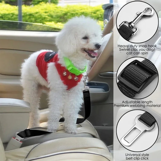Seat Belt Safety Leash