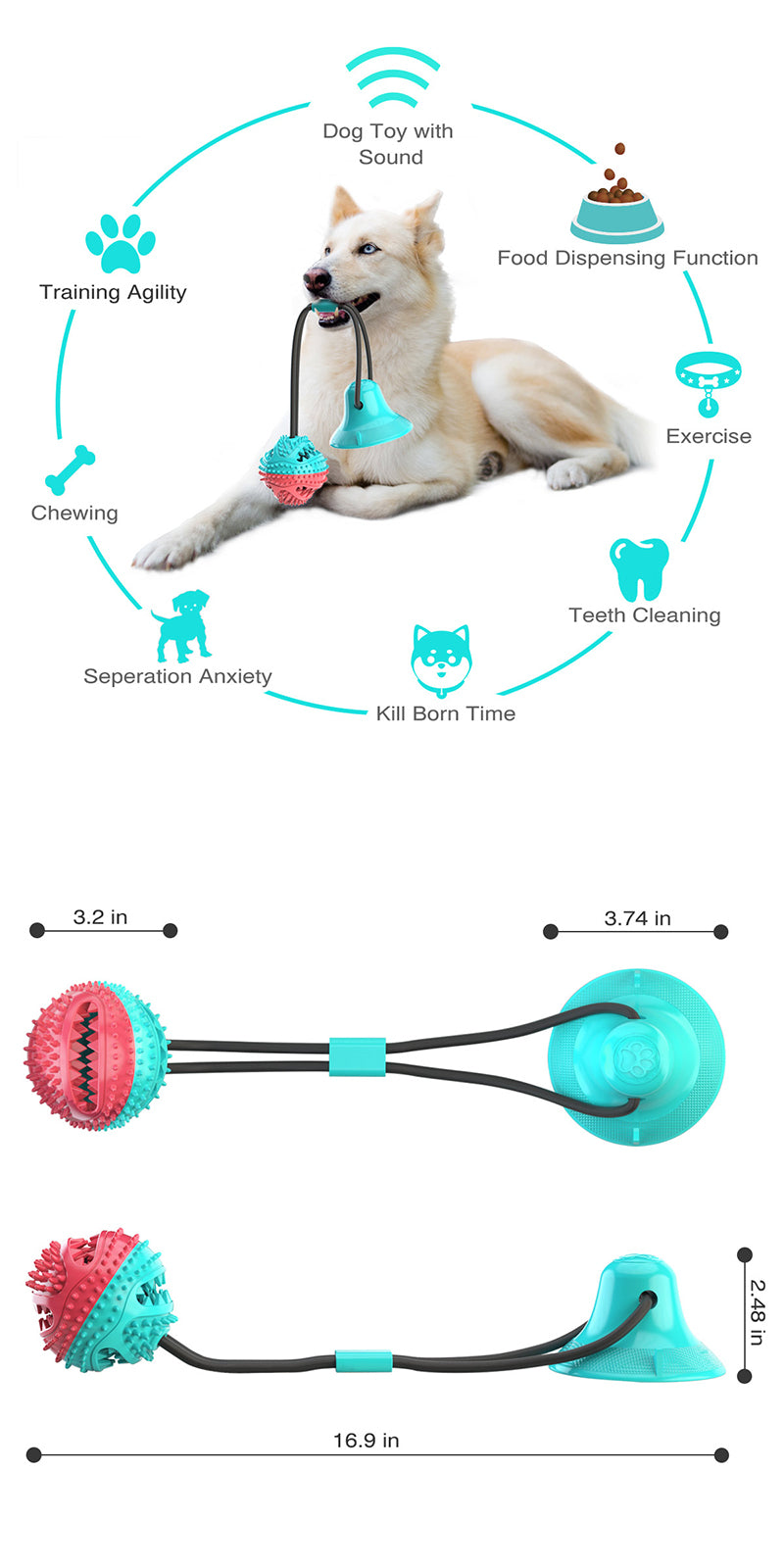 Molar Dog Pull Toy