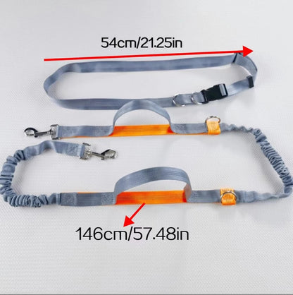 Pet Running Traction Leash
