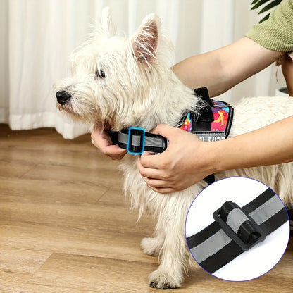 Personalised No Pull Dog Harness