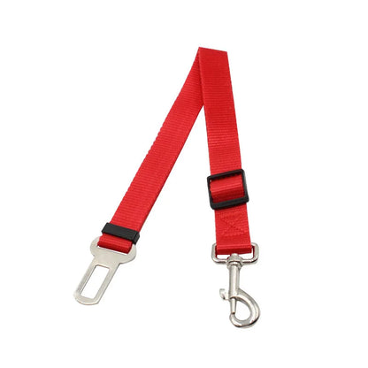 Seat Belt Safety Leash