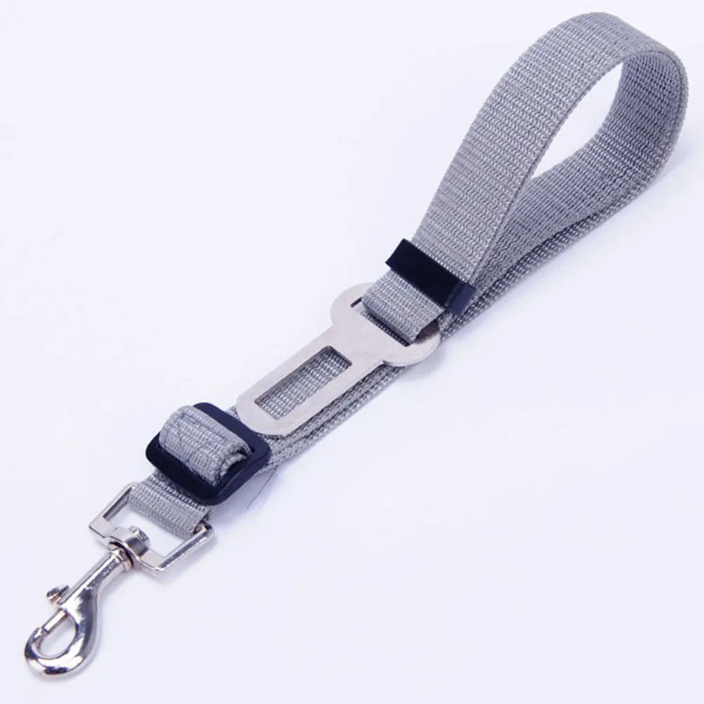 Click Clack Car Leash