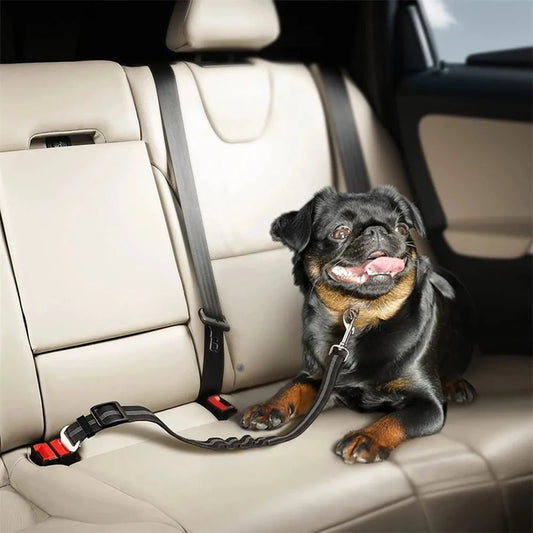 Click Clack Car Leash