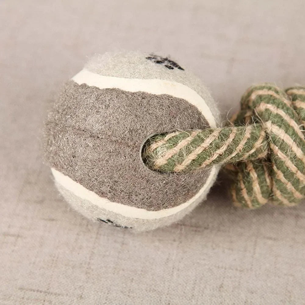 Ball and Rope Toy