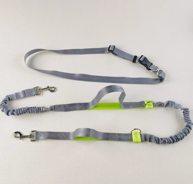 Pet Running Traction Leash
